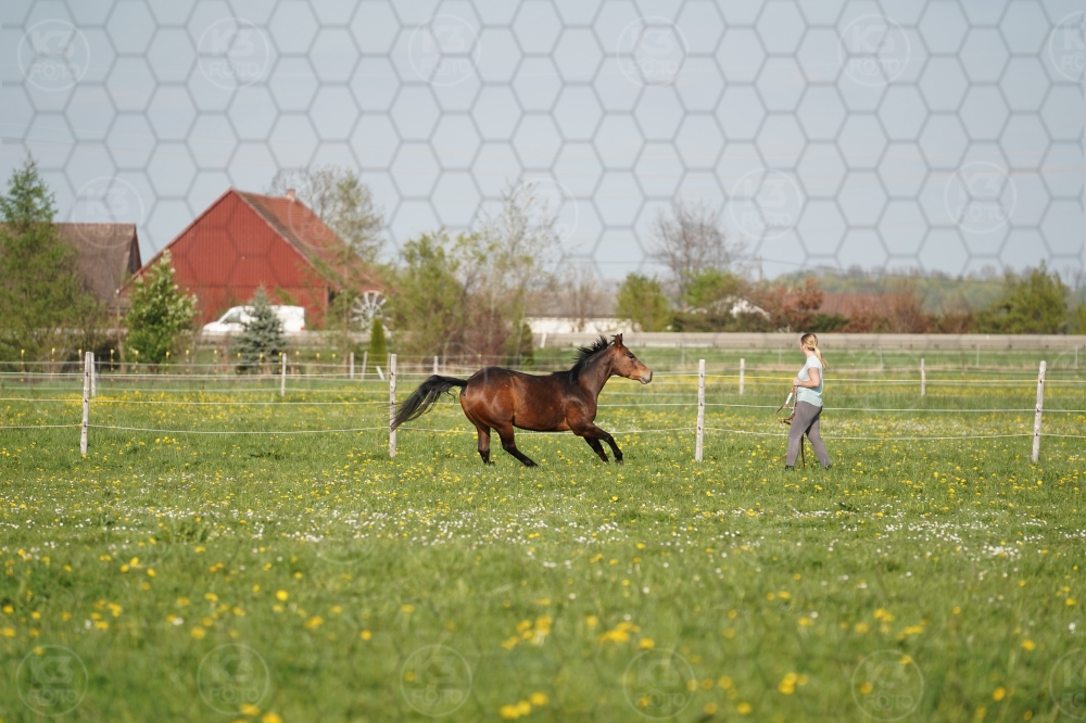 s_A9_09637.jpg